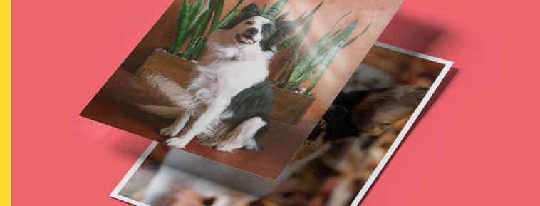 Développement photo classique